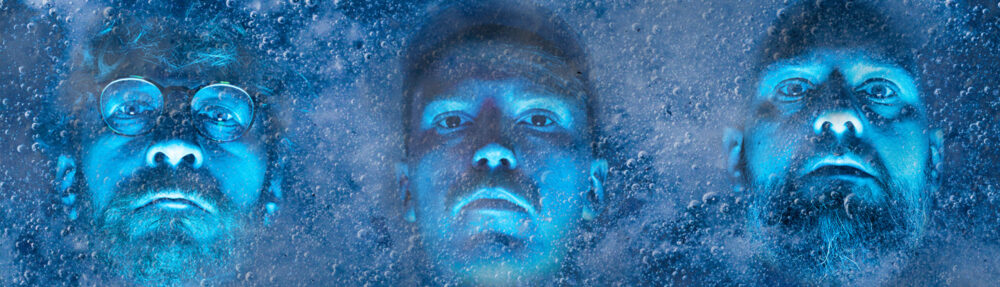 sherwolf